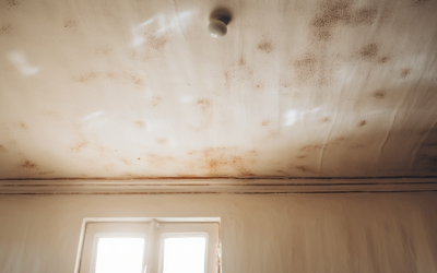 The Critical Consequences of a Leaking Roof