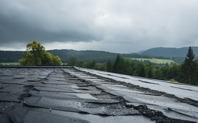 Essential Steps to Take When Your Roof Leaks During a Storm