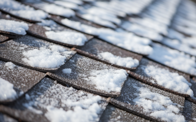 Understanding the Maximum Snow Load on Roofs