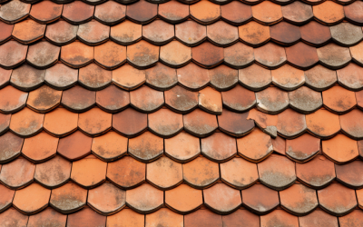 Essential Considerations When Purchasing a Home with an Aged Roof