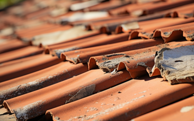 Comprehensive Guide to Identifying Roof Damage: Signs You Might Overlook