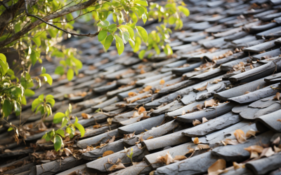 The Essential Guide to Protecting Your Roof from Tree Damage