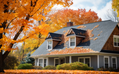 The Optimal Seasons for Roof Maintenance in Texas