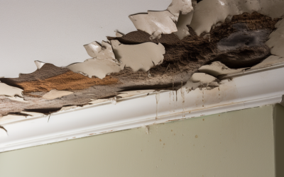 The Consequences of Delaying Roof Repairs