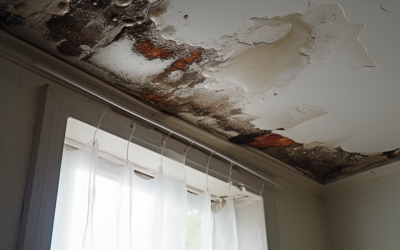 How to Determine the Urgency of a Roof Leak