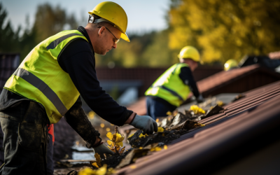 The Guide to Professional Roof Cleaning