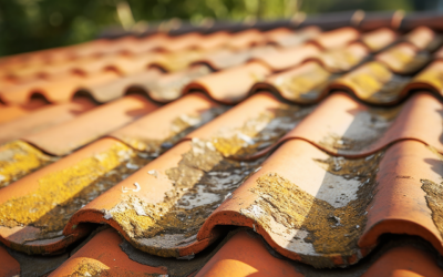 The Guide to Roofing Solutions: Addressing Common